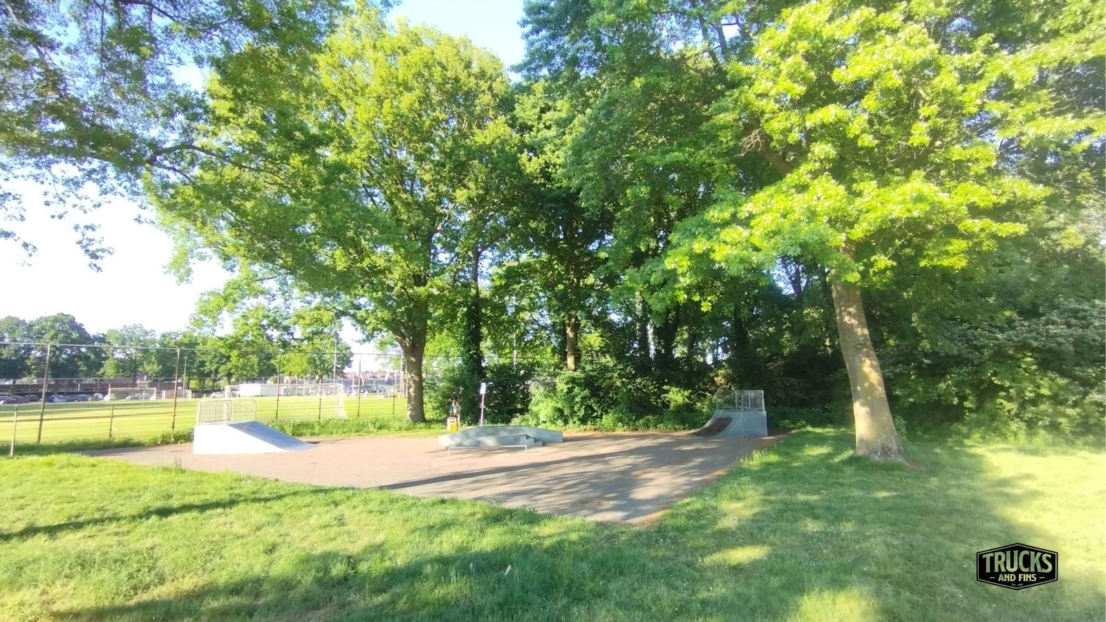 Wilgehoutstraat skatepark